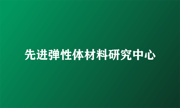 先进弹性体材料研究中心