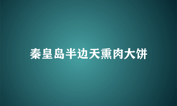 秦皇岛半边天熏肉大饼