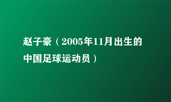 赵子豪（2005年11月出生的中国足球运动员）