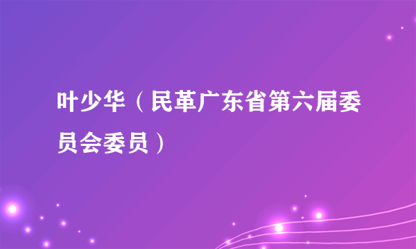 叶少华（民革广东省第六届委员会委员）