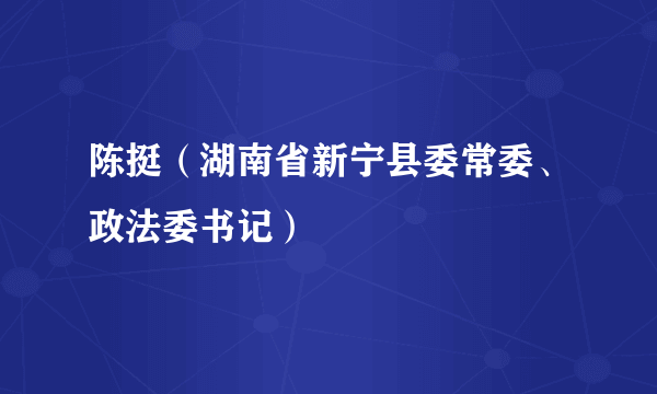 陈挺（湖南省新宁县委常委、政法委书记）