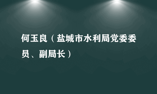 何玉良（盐城市水利局党委委员、副局长）