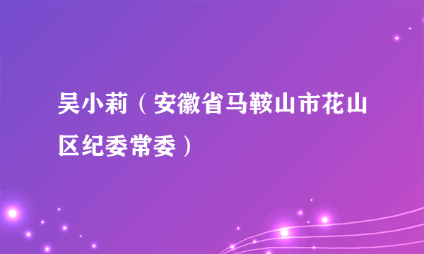 吴小莉（安徽省马鞍山市花山区纪委常委）