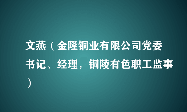 文燕（金隆铜业有限公司党委书记、经理，铜陵有色职工监事）