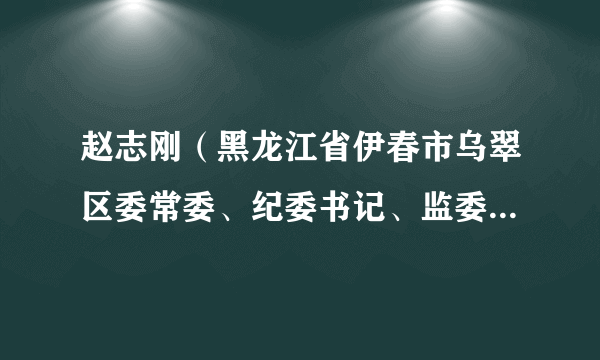 赵志刚（黑龙江省伊春市乌翠区委常委、纪委书记、监委代主任）