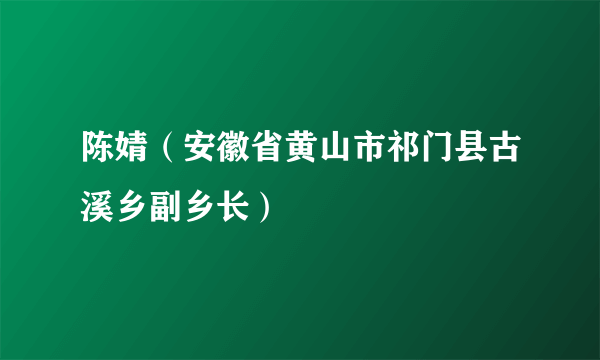 陈婧（安徽省黄山市祁门县古溪乡副乡长）