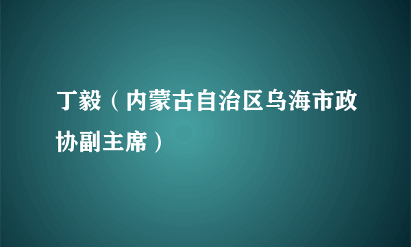 丁毅（内蒙古自治区乌海市政协副主席）