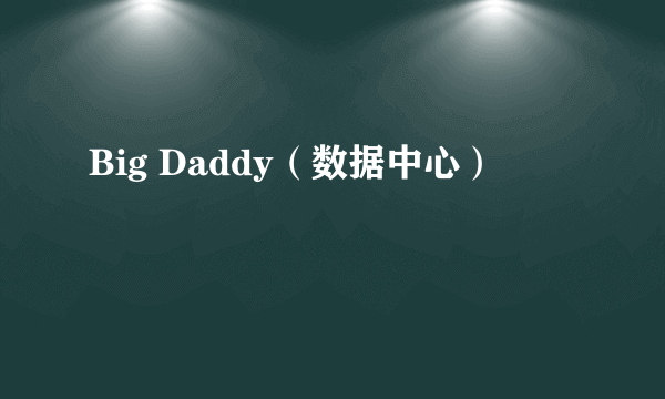 Big Daddy（数据中心）