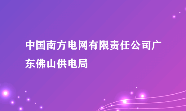 中国南方电网有限责任公司广东佛山供电局