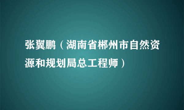 张翼鹏（湖南省郴州市自然资源和规划局总工程师）