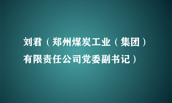 刘君（郑州煤炭工业（集团）有限责任公司党委副书记）