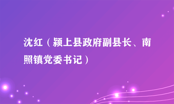 沈红（颍上县政府副县长、南照镇党委书记）