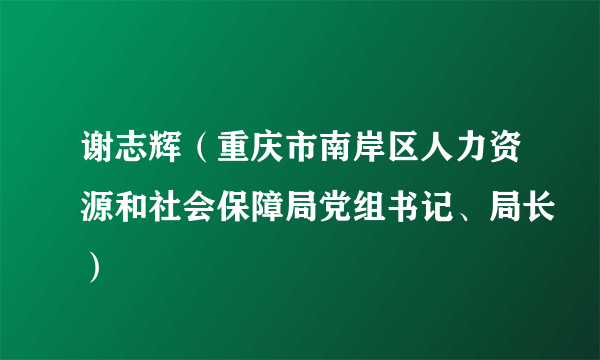 谢志辉（重庆市南岸区人力资源和社会保障局党组书记、局长）