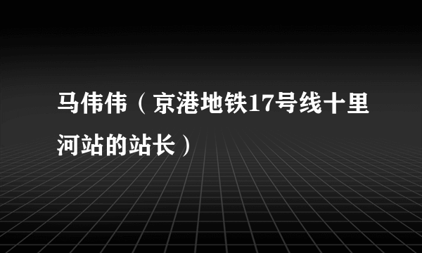 马伟伟（京港地铁17号线十里河站的站长）