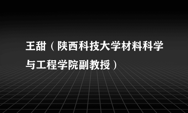 王甜（陕西科技大学材料科学与工程学院副教授）