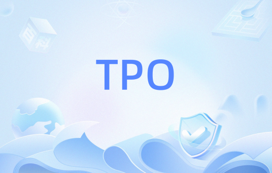 TPO（程序升温氧化）