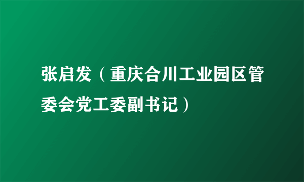 张启发（重庆合川工业园区管委会党工委副书记）