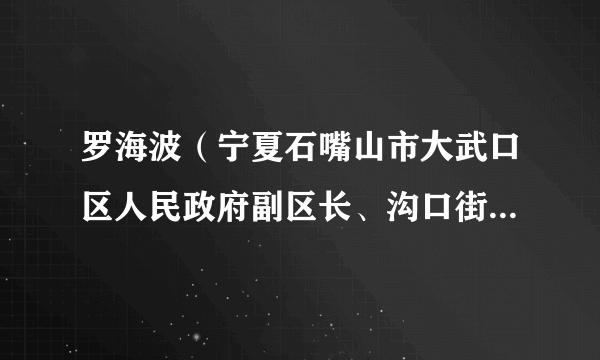 罗海波（宁夏石嘴山市大武口区人民政府副区长、沟口街道办事处主任）