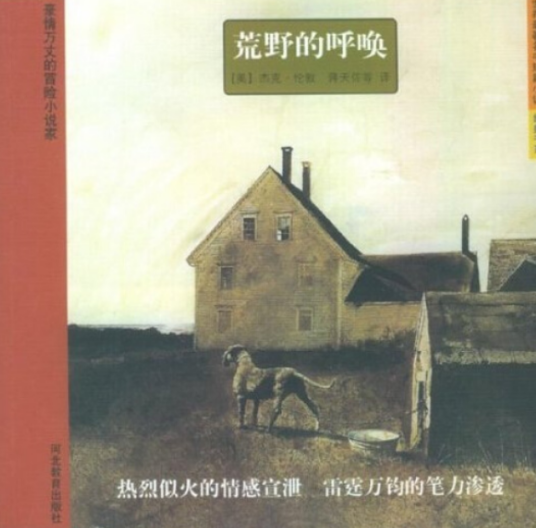 荒野的呼唤（2004年河北教育出版社出版的图书）