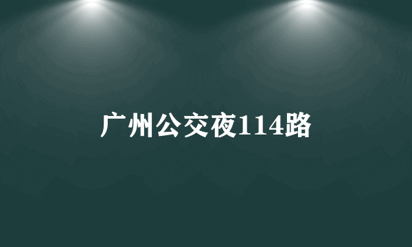 广州公交夜114路