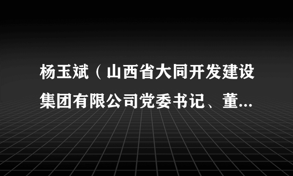 杨玉斌（山西省大同开发建设集团有限公司党委书记、董事长，高级经济师）