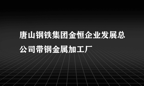 唐山钢铁集团金恒企业发展总公司带钢金属加工厂