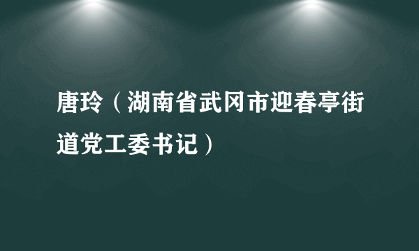 唐玲（湖南省武冈市迎春亭街道党工委书记）