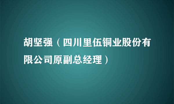 胡坚强（四川里伍铜业股份有限公司原副总经理）