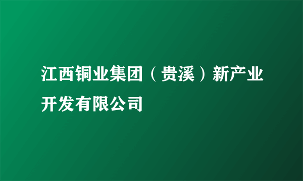 江西铜业集团（贵溪）新产业开发有限公司