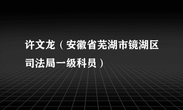 许文龙（安徽省芜湖市镜湖区司法局一级科员）