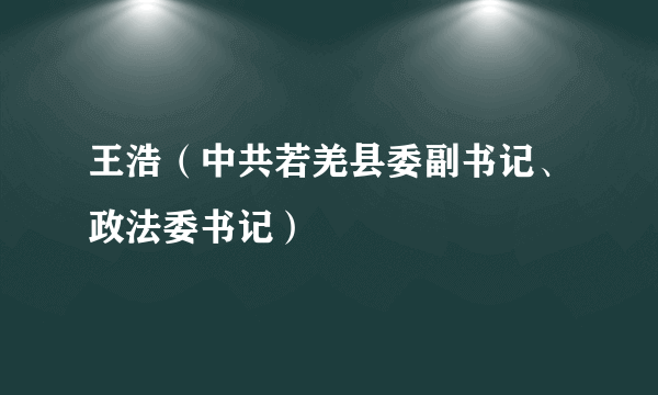 王浩（中共若羌县委副书记、政法委书记）