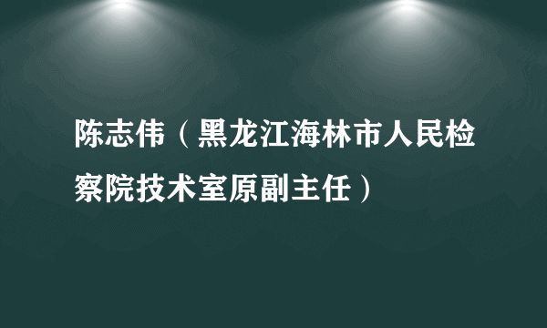 陈志伟（黑龙江海林市人民检察院技术室原副主任）