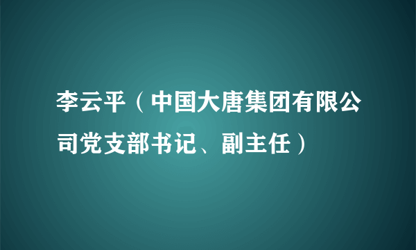 李云平（中国大唐集团有限公司党支部书记、副主任）