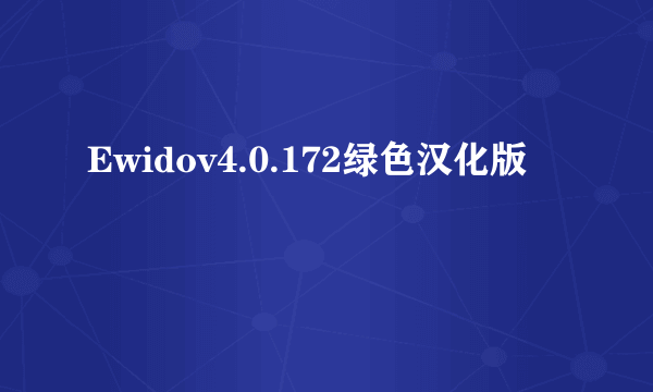 Ewidov4.0.172绿色汉化版