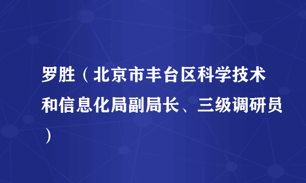 罗胜（北京市丰台区科学技术和信息化局副局长、三级调研员）