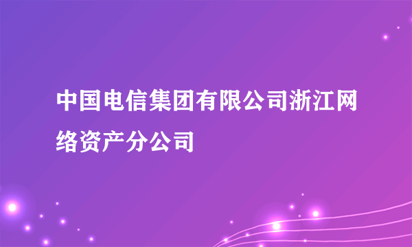 中国电信集团有限公司浙江网络资产分公司