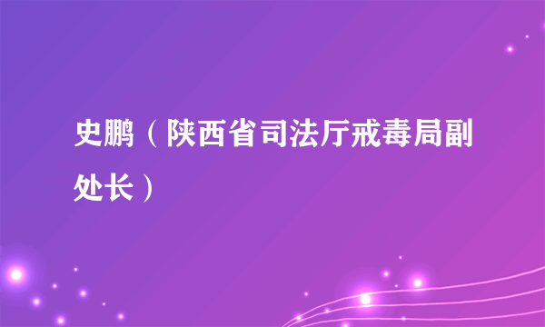 史鹏（陕西省司法厅戒毒局副处长）