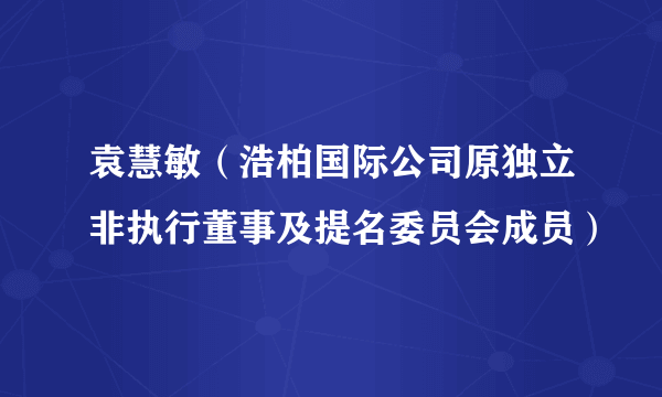 袁慧敏（浩柏国际公司原独立非执行董事及提名委员会成员）