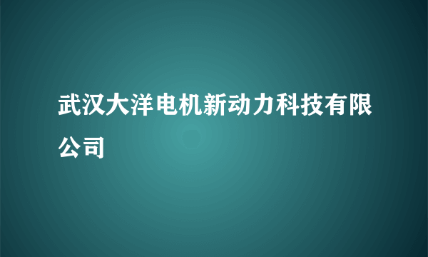 武汉大洋电机新动力科技有限公司