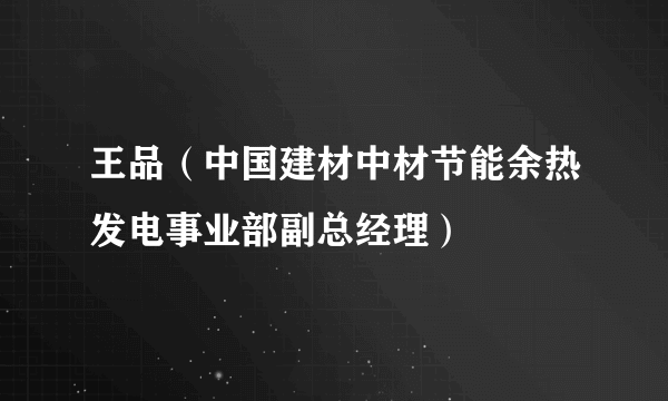 王品（中国建材中材节能余热发电事业部副总经理）