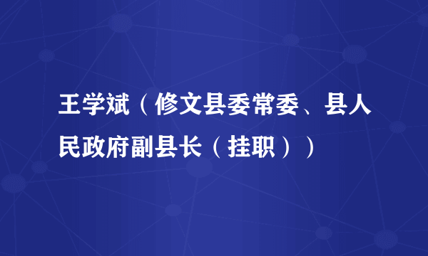 王学斌（修文县委常委、县人民政府副县长（挂职））