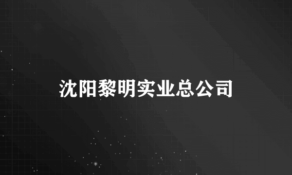 沈阳黎明实业总公司