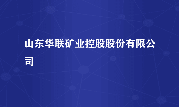 山东华联矿业控股股份有限公司