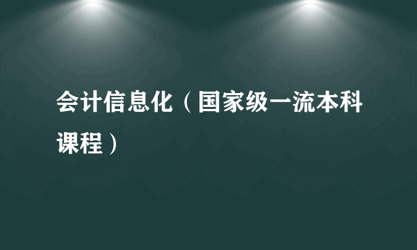 会计信息化（国家级一流本科课程）