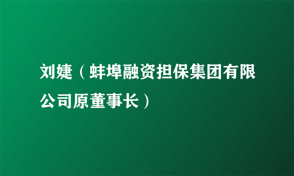 刘婕（蚌埠融资担保集团有限公司原董事长）