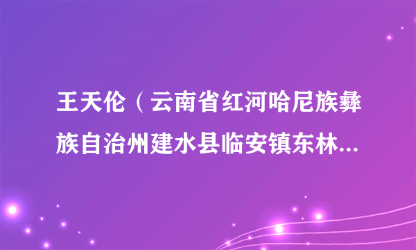 王天伦（云南省红河哈尼族彝族自治州建水县临安镇东林社区党总支书记）