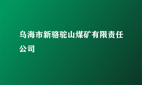 乌海市新骆驼山煤矿有限责任公司