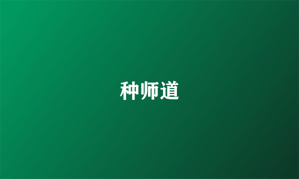 种师道