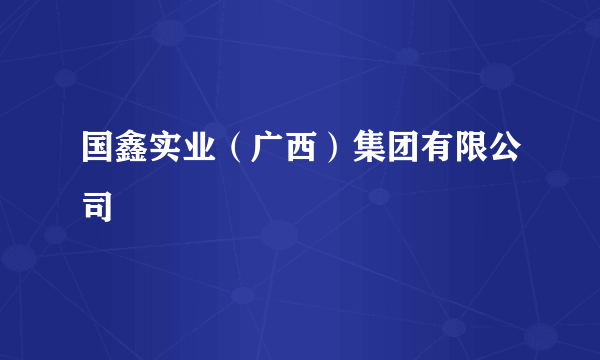 国鑫实业（广西）集团有限公司