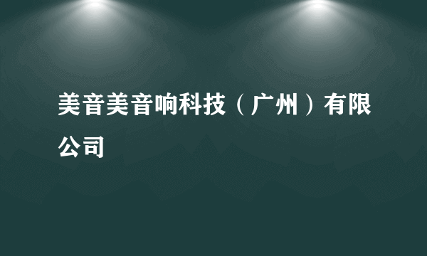 美音美音响科技（广州）有限公司